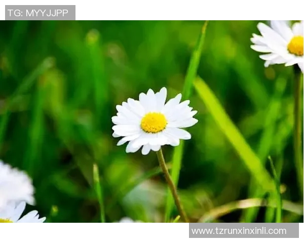 王芳的羽毛球人生深度对话探索她的成长与奋斗历程