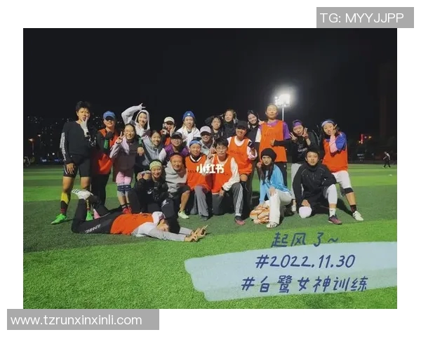 北京飞盘队转换打法深度解析与战术应用探讨