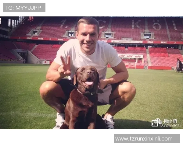 狗子足球明星名字大全及其背后的故事与成就解析