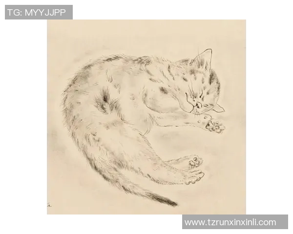 足球明星素猫画展现球场魅力与猫咪灵动结合的奇妙艺术之旅 足球明星素猫画展现球场魅力与猫咪灵动结合的奇妙艺术之旅