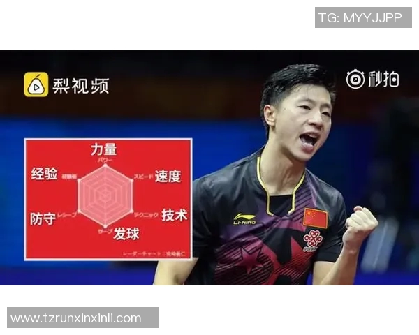 南京乒乓球队总决赛技术分析与表现评述展现实力与潜力