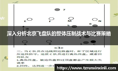 深入分析北京飞盘队的整体压制战术与比赛策略