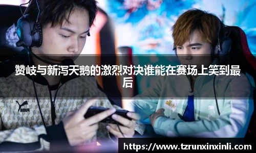 赞岐与新泻天鹅的激烈对决谁能在赛场上笑到最后