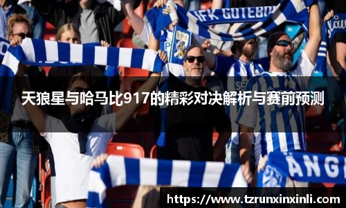 天狼星与哈马比917的精彩对决解析与赛前预测
